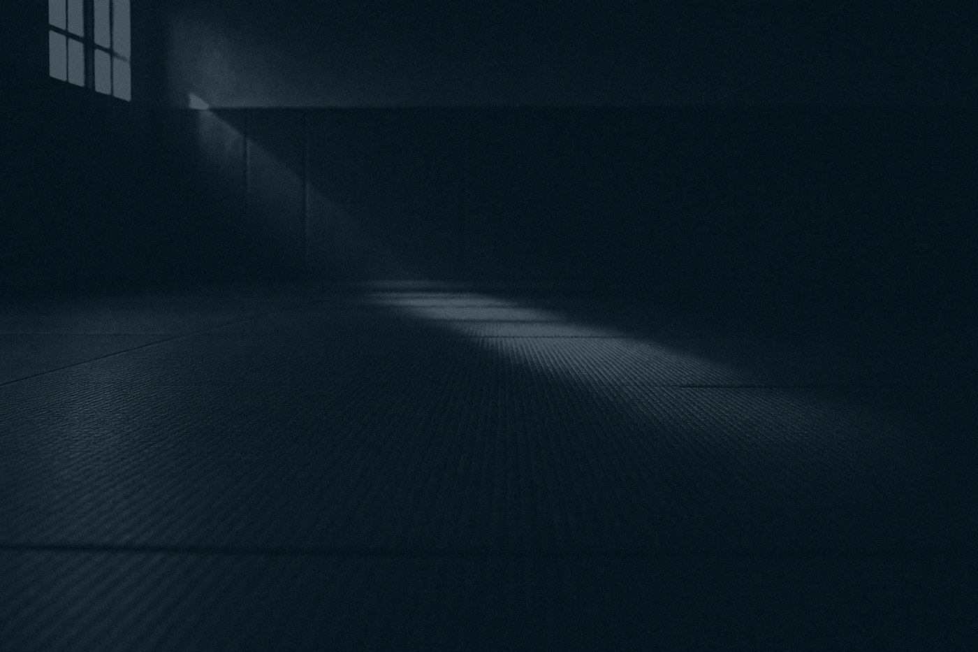 Mat surface in a jiu-jitsu gym